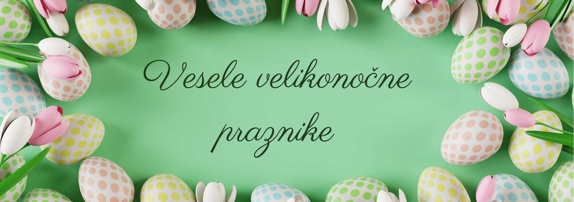 banner VOVK IN OVCA 2024 (1)